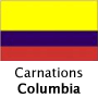 Carnations, Columbia