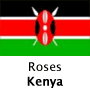 Roses, Kenya