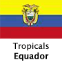 Tropicals, Equador